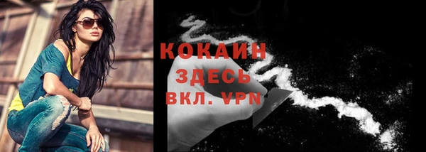 дживик Надым