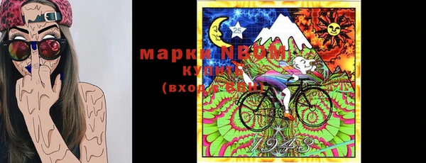 дживик Надым