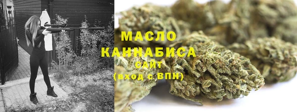 дживик Надым