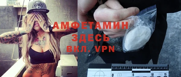 дживик Надым