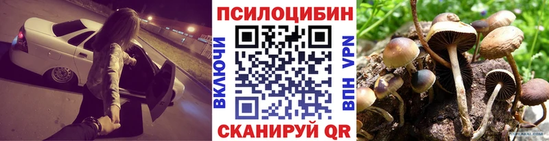 MEGA зеркало  что такое наркотик  Пересвет  Псилоцибиновые грибы Psilocybine cubensis 